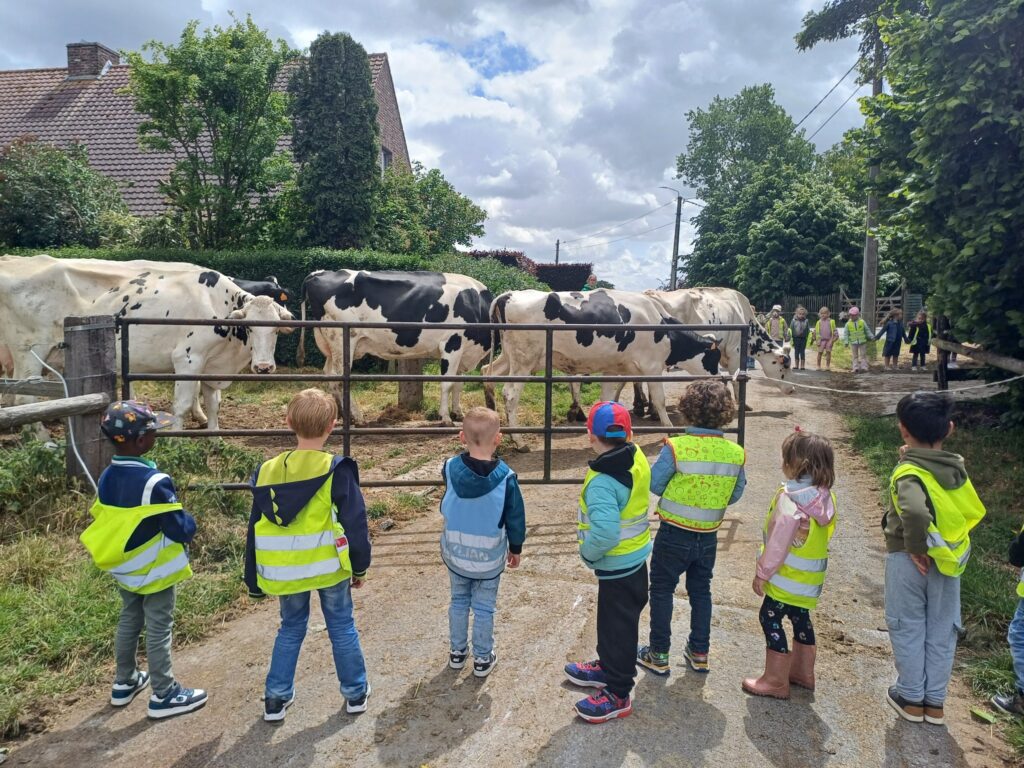 Groen bezoek in de natuur
